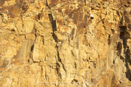 Ability;Activity;Adventure-sports;Alone;Ascend;Ascending;Ascension;Ascent;australasia;Australia;australian;bluff;bluffs;Brave;Bravery;Brisbane;Brisbane-River;cliff;cliffs;Climb;climber;Climbers;climbing;Courage;Danger;Dangerous;Daytime;Determination;Dexterity;Difficult;Difficulty;Exterior;Extreme;Harness;Harnesses;Hazard;high;Human;Leisure;Mountaineering;One;One-person;Outdoor;Outdoors;Outside;People;Person;Persons;Queensland;Recreation;Risk;risky;Rock;Rock-Climbing;Rock-Climbing-by-Brisbane-River;Rocks;rope;ropes;Scale;Single;Skill;Skilled;Sport;Sports;steep;Strength;Tough;Transcend;Transcending;Wall;Walls