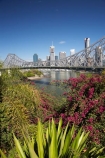 Australasia;Australia;Australian;bourganvilliia;Brisbane;Brisbane-River;Petrie-Bight;Qld;Queensland;river;rivers;Story-Bridge
