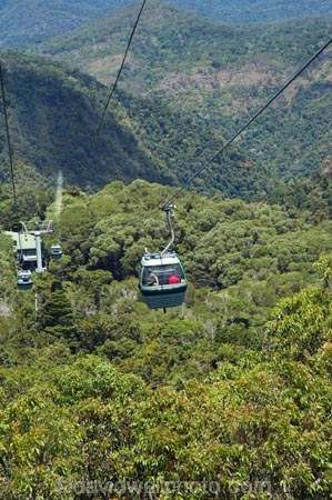 Australasian;Australia;Australian;Barron-Gorge;Barron-Gorge-National-Park;beautiful;beauty;bush;cable-car;cable-cars;cable-way;cable-ways;cableway;cableways;Cairns;endemic;forest;forests;gondola;green;Kuranda;lush;McAlister-Range;native;native-bush;natural;nature;North-Queensland;Qld;Queensland;rain-forest;rain-forests;rain_forest;rain_forests;rainforest;rainforest-canopy;rainforests;scene;scenic;Sky-Rail;Skyrail;Skyrail-Rainforest-Cableway;tourism;travel;tree;trees;Tropical-North-Queensland;tropical-rainforest;tropical-rainforests;wood;woods