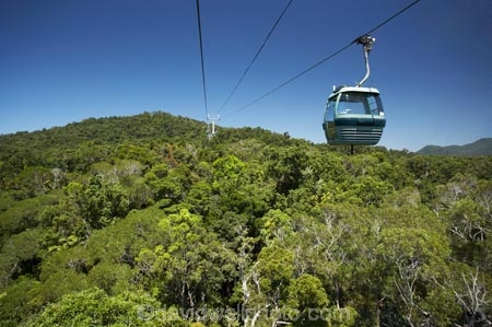 Australasian;Australia;Australian;Barron-Gorge-National-Park;beautiful;beauty;bush;cable-car;cable-cars;cable-way;cable-ways;cableway;cableways;Cairns;endemic;forest;forests;gondola;green;Kuranda;lush;McAlister-Range;native;native-bush;natural;nature;North-Queensland;Qld;Queensland;rain-forest;rain-forests;rain_forest;rain_forests;rainforest;rainforest-canopy;rainforests;scene;scenic;Sky-Rail;Skyrail;Skyrail-Rainforest-Cableway;tourism;travel;tree;trees;Tropical-North-Queensland;tropical-rainforest;tropical-rainforests;wood;woods