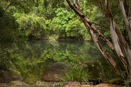 Australasian;Australia;Australian;Bartle-Frere;calm;Golden-Hole;Miriwinni;North-Queensland;placid;Qld;Queensland;quiet;reflection;reflections;Russell-River;serene;smooth;still;tranquil;tropical-rainforest;tropical-rainforests;water