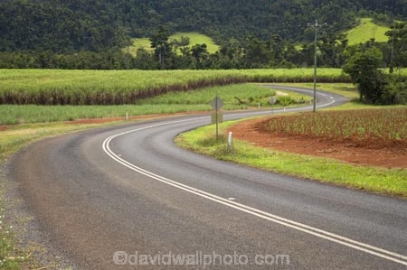 s-bend;s-bends;agricultural;agriculture;Australasian;Australia;Australian;Bartle-Frere;bend;bends;centre-line;centre-lines;centre_line;centre_lines;centreline;centrelines;corner;cornerscurve;country;countryside;crop;crops;curves;driving;farm;farming;Farmland;farms;field;fields;highway;highways;horticulture;Miriwinni;North-Queensland;open-road;open-roads;Qld;Queensland;road;road-trip;roads;rural;s-bend;s-bends;Sugar-Cane;Sugar-Cane-Field;Sugar-Cane-Fields;Sugar-Cane-Plantation;Sugar-Cane-Plantations;transport;transportation;travel;traveling;travelling;trip