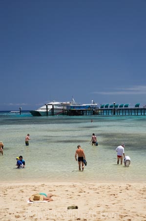 australasian;Australia;australian;Barrier-Reef;bathe;bather;bathers;bathing;beach;beaches;cairns;cay;cays;coast;coastal;coastline;coastlines;coasts;coral-cay;coral-cays;coral-reef;coral-reefs;Coral-Sea;dive-site;dive-sites;Ecosystem;Environment;excitement;exciting;freedom;Great-Barrier-Reef;Great-Barrier-Reef-Marine-Park;Green-Is;Green-Is-NP;Green-Is.;green-island;Green-Island-N.P.;Green-Island-National-Park;Green-Island-NP;Green-Island-Resort;holiday;holiday-destination;holiday-destinations;Holidays;hot;leisure;marine-environment;North-Queensland;ocean;oceans;people;person;persons;play;playing;Qld;queensland;recreation;reef;reefs;relax;relaxing;sand;sand-cay;sand-cays;sand-sandy;sandy;sea;seas;shore;shoreline;shorelines;shores;south-pacific;sport;summer;swim;swimmer;swimmers;swimming;tasman-sea;tourism;travel;Tropcial-North-Queensland;tropical;tropical-reef;tropical-reefs;UNESCO-World-Heritage-Site;Vacation;Vacations;water;wet;Wiorld-Heritage-Site;world-heritage-area;World-Heritage-Park;world-heritage-site