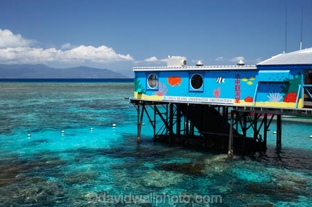 australasian;Australia;australian;Barrier-Reef;cairns;cay;cays;coast;coastal;coastline;coastlines;coasts;coral-cay;coral-cays;coral-reef;coral-reefs;Coral-Sea;dive-site;dive-sites;Ecosystem;Environment;Great-Barrier-Reef;Great-Barrier-Reef-Marine-Park;Green-Is;Green-Is-NP;Green-Is.;green-island;Green-Island-N.P.;Green-Island-National-Park;Green-Island-NP;Green-Island-Resort;Green-Island-Underwater-Observatory;holiday;holiday-destination;holiday-destinations;Holidays;marine-environment;North-Queensland;ocean;oceans;Qld;queensland;reef;reefs;sand-cay;sand-cays;sea;seas;shore;shoreline;shorelines;Shores;south-pacific;tasman-sea;tourism;travel;Tropcial-North-Queensland;tropical;tropical-reef;tropical-reefs;Underwater-Observatories;Underwater-Observatory;UNESCO-World-Heritage-Site;Vacation;Vacations;water;Wiorld-Heritage-Site;world-heritage-area;World-Heritage-Park;world-heritage-site