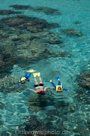australasian;Australia;australian;Barrier-Reef;bikini;bikinis;boy;boys;cairns;cay;cays;child;children;coast;coastal;coastline;coastlines;coasts;coral-cay;coral-cays;coral-reef;coral-reefs;Coral-Sea;dive-site;dive-sites;diver;divers;Ecosystem;Environment;families;family;girl;girls;Great-Barrier-Reef;Great-Barrier-Reef-Marine-Park;Green-Is;Green-Is-NP;Green-Is.;green-island;Green-Island-N.P.;Green-Island-National-Park;Green-Island-NP;Green-Island-Resort;holiday;holiday-destination;holiday-destinations;holidaying;Holidays;marine-environment;mothe;North-Queensland;ocean;oceans;people;person;Persons;Qld;queensland;rash-suit;rash-suits;rashsuit;rashsuits;reef;reefs;sand-cay;sand-cays;sea;seas;shore;shoreline;shorelines;Shores;snorkel;snorkeler;snorkelers;snorkeling;south-pacific;stinger-suit;stinger-suits;swim;swimmer;swimmers;swimming;tasman-sea;tourism;tourist;tourists;travel;traveler;traveling;traveller;travelling;Tropcial-North-Queensland;tropical;tropical-reef;tropical-reefs;UNESCO-World-Heritage-Site;Vacation;Vacationers;vacationing;Vacations;water;Wiorld-Heritage-Site;woman;women;world-heritage-area;World-Heritage-Park;world-heritage-site