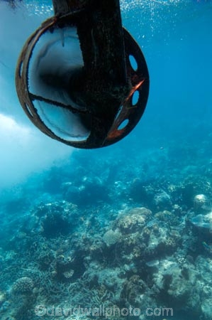 australasian;Australia;australian;Barrier-Reef;cairns;cay;cays;coast;coastal;coastline;coastlines;coasts;coral-cay;coral-cays;coral-reef;coral-reefs;Coral-Sea;dive-site;dive-sites;Ecosystem;Environment;fish;fishes;Glass-Bottomed-Boat;Glass-Bottomed-Boats;Glass_Bottomed-Boat;Glass_Bottomed-Boats;Great-Barrier-Reef;Great-Barrier-Reef-Marine-Park;Green-Is;Green-Is-NP;Green-Is.;green-island;Green-Island-N.P.;Green-Island-National-Park;Green-Island-NP;Green-Island-Resort;holiday;holiday-destination;holiday-destinations;Holidays;marine-environment;North-Queensland;ocean;oceans;propeller;propellers;Propellor;Propellors;Qld;queensland;reef;reefs;sand-cay;sand-cays;sea;seas;Semi-Sub;Semi-Submarine;Semi-Submarines;Semi-Subs;Semi_Sub;Semi_Submarine;Semi_Submarines;Semi_Subs;SemiSub;SemiSubmarine;SemiSubmarines;SemiSubs;shore;shoreline;shorelines;Shores;south-pacific;tasman-sea;tourism;travel;Tropcial-North-Queensland;tropical;tropical-reef;tropical-reefs;underwater;underwater-photo;underwater-photography;underwater-photos;UNESCO-World-Heritage-Site;Vacation;Vacations;water;Wiorld-Heritage-Site;world-heritage-area;World-Heritage-Park;world-heritage-site