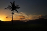 Australasian;Australia;Australian;Cairns;dusk;evening;nightfall;North-Queensland;orange;palm;palm-tree;palm-trees;palms;Qld;Queensland;sky;sunset;sunsets;Tropical-North-Queensland;twilight