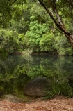 Australasian;Australia;Australian;Bartle-Frere;calm;Golden-Hole;Miriwinni;North-Queensland;placid;Qld;Queensland;quiet;reflection;reflections;Russell-River;serene;smooth;still;tranquil;tropical-rainforest;tropical-rainforests;water