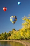 A.C.T.;ACT;adventure;air;Australia;Australian-Capital-Territory;autuminal;autumn;autumn-colour;autumn-colours;autumnal;aviation;balloon;ballooning;balloons;Barton;Bowen-Park;calm;Canberra;capital;capitals;color;colorful;colors;colour;colourful;colours;deciduous;East-Basin;fall;flight;float;floating;fly;flying;hot-air-balloon;hot-air-ballooning;hot-air-balloons;hot_air-balloon;hot_air-ballooning;hot_air-balloons;hotair-balloon;hotair-balloons;lake;Lake-BG;Lake-Burley-Griffin;lakes;leaf;leaves;mid-air;mid_air;park;parks;placid;quiet;reflection;reflections;season;seasonal;seasons;serene;smooth;sport;sports;still;tourism;tranquil;transport;transportation;tree;trees;water