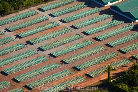 aerial;aerial-image;aerial-images;aerial-photo;aerial-photograph;aerial-photographs;aerial-photography;aerial-photos;aerial-view;aerial-views;aerials;Australasian;Australia;Australian;crocodile-farm;crocodile-farms;Darwin;Darwin-Crocodile-Farm;N.T.;Northern-Territory;NT;Porosus;Top-End