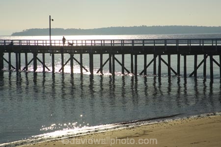 australasia;Australia;australian;beach;beaches;coast;coastal;coastline;early-light;Fraser-Coast;glitter;Hervey-Bay;jetties;jetty;pier;piers;queensland;shore;shoreline;sky;sun;sunrise;Urangan-pier;wharf;wharfs;wharves