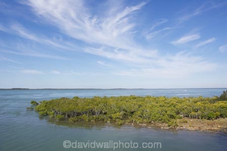 australasia;Australia;australian;coast;coastal;coastline;Fraser-Coast;Hervey-Bay;mangrove;mangroves;queensland;river-heads;shore;shoreline