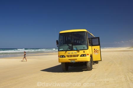 4wd;4wds;4wds;4x4;4x4s;4x4s;australasia;Australia;australian;beach;beaches;bus;buses;coach;coaches;coast;coastal;coastline;coastlines;four-by-four;four-by-fours;four-wheel-drive;four-wheel-drives;Fraser-Island;golden-sand;great-sandy-n.p.;great-sandy-national-park;great-sandy-np;islands;queensland;sand;sandy;seventy-five-mile-beach;shore;shoreline;shorelines;UN-world-heritage-site;united-nations-world-heritage-s;world-heritage;World-Heritage-site;yellow-sand