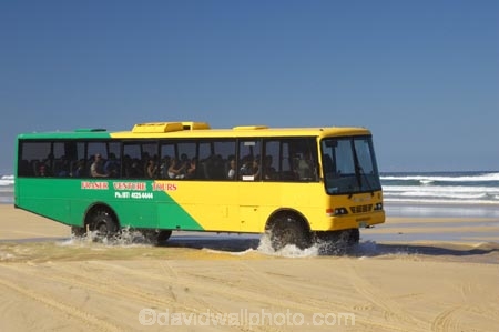 4wd;4wds;4wds;4x4;4x4s;4x4s;australasia;Australia;australian;beach;beaches;brook;brooks;bus;buses;coach;coaches;coast;coastal;coastline;coastlines;creek;creeks;cross;crosses;crossing;eli-creek;ford;fording;fords;four-by-four;four-by-fours;four-wheel-drive;four-wheel-drives;Fraser-Island;fresh-water;freshwater;golden-sand;great-sandy-n.p.;great-sandy-national-park;great-sandy-np;islands;queensland;sand;sandy;seventy-five-mile-beach;shore;shoreline;shorelines;splash;splashes;splashing;stream;streams;UN-world-heritage-site;united-nations-world-heritage-s;world-heritage;World-Heritage-site;yellow-sand