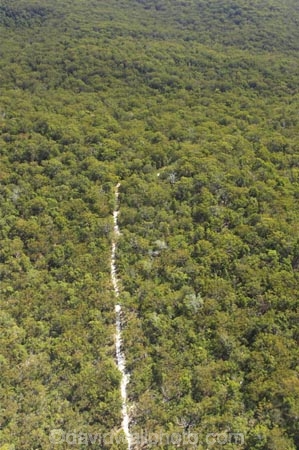 aerial;aerials;australasia;Australia;australian;bush;forest;forests;Fraser-Island;great-sandy-n.p.;great-sandy-national-park;great-sandy-np;islands;native-bush;queensland;road;roads;sandy-track;tracks;UN-world-heritage-site;united-nations-world-heritage-s;world-heritage;World-Heritage-site