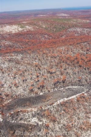 aerial;aerials;australasia;Australia;australian;brush;burnt;bush;bush-fire;bush-fires;bush_fire;bush_fires;bushfire;bushfires;Catastrophe;Catastrophes;conservation;Countryside;Danger;Deforestation;destroy;destruction;destructive;disaster;Disasters;engulf;environment;environmental-issues;Fire;fires;flora;foliage;forest;forests;Fraser-Island;great-sandy-n.p.;great-sandy-national-park;great-sandy-np;Hazard;incinerated;islands;landscape;landscapes;loss;Losses;native-bush;natural;Natural-disaster;Natural-disasters;nature;outdoors;plant;pollution;queensland;rainforest;regeneration;scorch;scorched;scrub;tree;trees;UN-world-heritage-site;united-nations-world-heritage-s;vegetation;wild-fire;wild-fires;wild_fire;wild_fires;wildfire;wildfires;world-heritage;World-Heritage-site