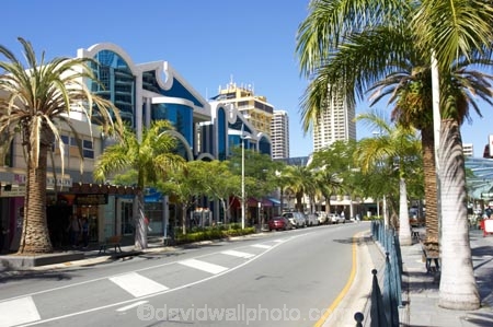 australasia;Australia;Gold-Coast;holiday;holidays;palm;palm-tree;palm-trees;palms;Queensland;retail;shop;shopping;shops;Surfers-Paradise;tourism;travel;vacation;vacations