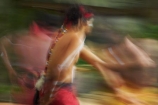 aborigine;Aborigines;Aboringinal-Dancing;Action;Activity;australasia;Australia;australian;blur;Blurred;blurry;blurs;body-paint;body-painting;Celebrate;Celebrating;Celebration;Celebrations;Coordinated;Coordination;costume;costumes;cultural;culture;Dance;dancing;demonstation;Ethnic;Festival;Festivals;Folk;Folk-dance;Folk-dances;Folklore;Human;Indigenous;live-performance;Motion;move;movement;moving;Native;Natives;Oceania;painted;People;perform;performance;performances;Person;Persons;Queensland;sacred;Talent;tradition;Traditional;Traditional-costume;Traditional-costumes;Traditions;Travel;Travels