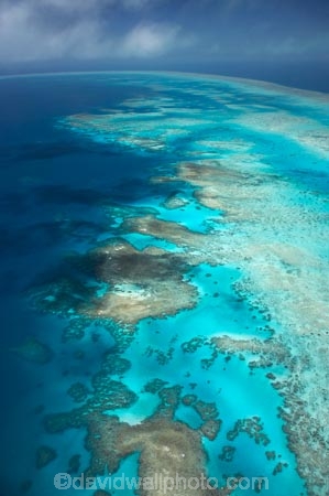 aerial;aerial-photo;aerial-photograph;aerial-photographs;aerial-photography;aerial-photos;aerial-view;aerial-views;aerials;Arlington-Reef;australasian;Australia;australian;Barrier-Reef;blue;cay;cays;coral-cay;coral-cays;coral-reef;coral-reefs;Coral-Sea;dive-site;dive-sites;Ecosystem;Environment;Great-Barrier-Reef;Great-Barrier-Reef-Marine-Park;marine-environment;North-Queensland;ocean;oceans;Qld;queensland;reef;reefs;sea;seas;south-pacific;tasman-sea;Tropcial-North-Queensland;tropical;tropical-reef;tropical-reefs;turquoise;UNESCO-World-Heritage-Site;world-heritage-area;World-Heritage-Park;world-heritage-site