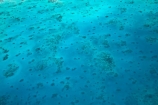aerial;aerial-photo;aerial-photograph;aerial-photographs;aerial-photography;aerial-photos;aerial-view;aerial-views;aerials;australasian;Australia;australian;Barrier-Reef;blue;coral-reef;coral-reefs;Coral-Sea;dive-site;dive-sites;Ecosystem;Environment;Great-Barrier-Reef;Great-Barrier-Reef-Marine-Park;marine-environment;North-Queensland;ocean;oceans;Oyster-Reef;pattern;patterns;Qld;queensland;reef;reefs;sea;seas;south-pacific;tasman-sea;Tropcial-North-Queensland;tropical;tropical-reef;tropical-reefs;turquoise;UNESCO-World-Heritage-Site;world-heritage-area;World-Heritage-Park;world-heritage-site