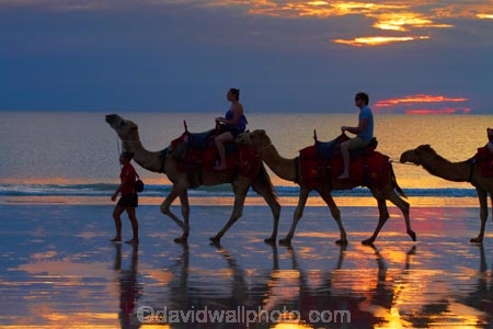 Australasian;Australia;Australian;beach;beaches;Broome;Cable-Beach;calm;camel;camel-train;camel-trains;camels;cloud;clouds;coast;coastal;coastline;dusk;evening;icon;iconic;icons;Kimberley;Kimberley-Region;nightfall;orange;placid;quiet;reflection;reflections;sand;sandy;serene;shore;shoreline;silhouette;silhouettes;sky;smooth;still;sunset;sunsets;The-Kimberley;tourism;tourist;tourist-attraction;tourist-attractions;tourists;tranquil;twilight;W.A.;WA;water;West-Australia;Western-Australia