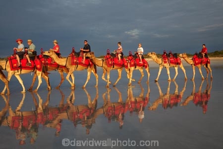 Australasian;Australia;Australian;beach;beaches;black-cloud;black-clouds;Broome;calm;camel;camel-train;camel-trains;camels;cloud;clouds;cloudy;coast;coastal;coastline;dark-cloud;dark-clouds;gray-cloud;gray-clouds;grey-cloud;grey-clouds;icon;iconic;icons;Kimberley;Kimberley-Region;last-light;late-light;placid;quiet;rain-cloud;rain-clouds;rain-storm;rain-storms;reflection;reflections;sand;sandy;serene;shore;shoreline;smooth;still;storm;storms;The-Kimberley;tourism;tourist;tourist-attraction;tourist-attractions;tourists;tranquil;W.A.;WA;water;West-Australia;Western-Australia