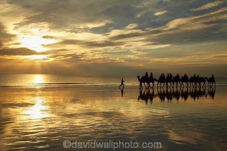 Australasian;Australia;Australian;beach;beaches;Broome;Cable-Beach;calm;camel;camel-train;camel-trains;camels;cloud;clouds;coast;coastal;coastline;dusk;evening;icon;iconic;icons;Kimberley;Kimberley-Region;last-light;late-light;nightfall;orange;placid;quiet;reflection;reflections;sand;sandy;serene;shore;shoreline;silhouette;silhouettes;sky;smooth;still;sunset;sunsets;The-Kimberley;tourism;tourist;tourist-attraction;tourist-attractions;tourists;tranquil;twilight;W.A.;WA;water;West-Australia;Western-Australia