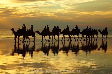 Australasian;Australia;Australian;beach;beaches;Broome;Cable-Beach;calm;camel;camel-train;camel-trains;camels;cloud;clouds;coast;coastal;coastline;dusk;evening;icon;iconic;icons;Kimberley;Kimberley-Region;last-light;late-light;nightfall;orange;placid;quiet;reflection;reflections;sand;sandy;serene;shore;shoreline;silhouette;silhouettes;sky;smooth;still;sunset;sunsets;The-Kimberley;tourism;tourist;tourist-attraction;tourist-attractions;tourists;tranquil;twilight;W.A.;WA;water;West-Australia;Western-Australia