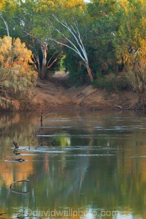 Australasian;Australia;Australian;causeway;crossing;crossing-point;Fitzroy-Crossing;Fitzroy-River;Kimberley;Kimberley-Region;river;The-Kimberley;W.A.;WA;West-Australia;Western-Australia