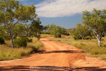 Australasian;Australia;Australian;countryside;gravel-road;gravel-roads;Kimberley;Kimberley-Region;metal-road;metal-roads;metalled-road;metalled-roads;Purnululu-N.P.;Purnululu-National-Park;Purnululu-NP;road;roads;rural;Spring-Creek-Track;The-Kimberley;UN-world-heritage-area;UN-world-heritage-site;UNESCO-World-Heritage-area;UNESCO-World-Heritage-Site;united-nations-world-heritage-area;united-nations-world-heritage-site;W.A.;WA;West-Australia;Western-Australia;world-heritage;world-heritage-area;world-heritage-areas;World-Heritage-Park;World-Heritage-site;World-Heritage-Sites