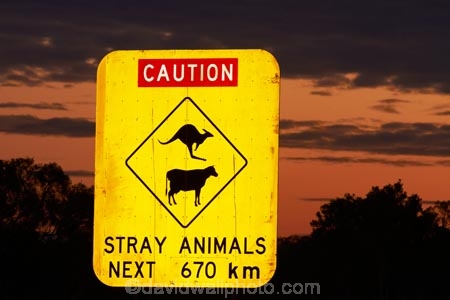 Australasian;Australia;Australian;cow;cows;Gibb-River-Highway;Gibb-River-Rd;Gibb-River-Rd-sign;Gibb-River-Road;Gibb-River-Road-sign;information-sign;information-signs;kangaroo;kangaroos;Kimberley;Kimberley-Region;next-670km;road-sign;road-signs;sign;signs;The-Kimberley;W.A.;WA;warning-sign;warning-signs;West-Australia;Western-Australia