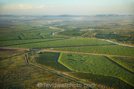 aerial;aerial-photo;aerial-photograph;aerial-photographs;aerial-photography;aerial-photos;aerial-view;aerial-views;aerials;agricultural;agriculture;Australasian;Australia;Australian;country;countryside;crop;crops;East-Kimberley;farm;farming;farmland;farms;field;fields;fruit;fruit-tree;fruit-trees;horticulture;irrigation-canal;Kimberley;Kimberley-Region;Kununurra;orchard;orchards;Ord-River-Irrigation-Scheme;row;rows;rural;The-Kimberley;tree;trees;W.A.;WA;West-Australia;Western-Australia