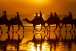 Australasian;Australia;Australian;beach;beaches;Broome;Cable-Beach;calm;camel;camel-train;camel-trains;camels;coast;coastal;coastline;dusk;evening;icon;iconic;icons;Kimberley;Kimberley-Region;nightfall;orange;placid;quiet;reflection;reflections;sand;sandy;serene;shore;shoreline;silhouette;silhouettes;sky;smooth;still;sunset;sunsets;The-Kimberley;tourism;tourist;tourist-attraction;tourist-attractions;tourists;tranquil;twilight;W.A.;WA;water;West-Australia;Western-Australia