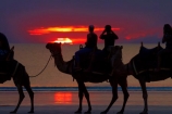 Australasian;Australia;Australian;beach;beaches;Broome;Cable-Beach;calm;camel;camel-train;camel-trains;camels;cloud;clouds;coast;coastal;coastline;dusk;evening;icon;iconic;icons;Kimberley;Kimberley-Region;nightfall;orange;placid;quiet;reflection;reflections;sand;sandy;serene;shore;shoreline;silhouette;silhouettes;sky;smooth;still;sunset;sunsets;The-Kimberley;tourism;tourist;tourist-attraction;tourist-attractions;tourists;tranquil;twilight;W.A.;WA;water;West-Australia;Western-Australia