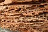 Australasian;Australia;Australian;Broome;eroded-rock;eroded-rocks;erosion;Kimberley;Kimberley-Region;pitted-rock;red-rock;rock-formations;The-Kimberley;W.A.;WA;weathered-rock;West-Australia;Western-Australia