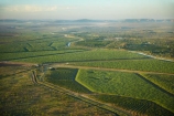 aerial;aerial-photo;aerial-photograph;aerial-photographs;aerial-photography;aerial-photos;aerial-view;aerial-views;aerials;agricultural;agriculture;Australasian;Australia;Australian;country;countryside;crop;crops;East-Kimberley;farm;farming;farmland;farms;field;fields;fruit;fruit-tree;fruit-trees;horticulture;irrigation-canal;Kimberley;Kimberley-Region;Kununurra;orchard;orchards;Ord-River-Irrigation-Scheme;row;rows;rural;The-Kimberley;tree;trees;W.A.;WA;West-Australia;Western-Australia