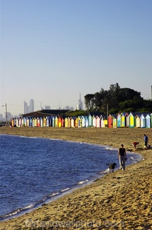 australasian;Australia;australian;bathing-box;Bathing-Boxes;bathing-hut;bathing-huts;beach;beach-box;beach-boxes;beach-hut;beach-huts;beaches;bright;changing-box;changing-boxes;coast;coastal;coastline;color;colorful;colors;colour;Colourful;colours;different;Melbourne;Middle-Brighton-Beach;ocean;oceans;paint;painted;Port-Phillip-Bay;primary-color;primary-colors;primary-colour;primary-colours;sand;sandy;sea;shed;sheds;shore;shoreline;victoria;waterfront;weather-board;weather-boards;weather_board;weather_boards;weatherboard;weatherboards;wood;wooden