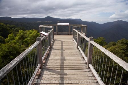 Australasian;Australia;Australian;Central-Eastern-Rainforest-Reserves;Dorrigo-N.P.;Dorrigo-National-Park;Dorrigo-NP;Dorrigo-Rainforest;Dorrigo-Rainforest-Centre;Dorrigo-Skywalk;Gondwana-Rainforests-of-Australia;lookout;lookouts;Mid-North-Coast;Mid-North-Coast-NSW;Mid-North-Nsw;Mid-Northern-NSW;N.S.W.;New-South-Wales;NSW;platform;platforms;Skywalk;viewing-platform;viewing-platforms;Waterfall-Way;World-Heritage-Site