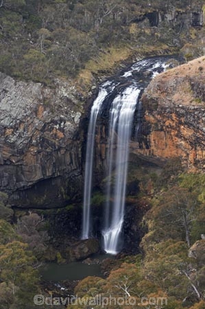 Australasian;Australia;Australian;cascade;cascades;creek;creeks;Ebor-Falls;Ebor-Waterfall;Ebor-Waterfalls;falls;Guy-Fawkes-River-N.P.;Guy-Fawkes-River-National-Park;Guy-Fawkes-River-NP;Lower-Ebor-Falls;Mid-North-Coast;Mid-North-Coast-NSW;Mid-North-Nsw;Mid-Northern-NSW;N.S.W.;natural;nature;New-South-Wales;NSW;scene;scenic;stream;streams;water;water-fall;water-falls;waterfall;waterfall-way;waterfalls;wet