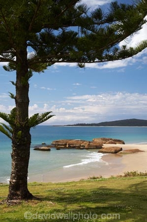 Australasian;Australia;Australian;beach;beaches;coast;coastal;coastline;Mid-North-Coast;Mid-North-Coast-NSW;Mid-North-Nsw;Mid-Northern-NSW;N.S.W.;New-South-Wales;NSW;ocean;oceans;sand;sandy;sea;seas;shore;shoreline;South-West-Rocks;Tasman-Sea