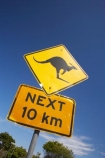 australasia;Australasian;Australia;australian;blue;Broadwater-N.P.;Broadwater-National-Park;Broadwater-NP;kangaroo;Kangaroo-Sign;Kangaroo-Signs;Kangaroo-Warning-Sign;kangaroos;N.S.W.;natural;nature;New-South-Wales;NSW;Road;road-sign;road-signs;road_sign;road_signs;roads;roadsign;roadsigns;sign;signs;symbol;symbols;tranportation;transport;travel;warn;yellow