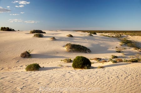 arid;Australasia;Australia;Australian;Australian-Desert;Australian-Deserts;Australian-Outback;back-country;backcountry;backwoods;country;countryside;desert;deserts;dry;dune;dunes;geographic;geography;Mungo-N.P.;Mungo-National-Park;Mungo-NP;N.S.W.;New-South-Wales;NSW;outback;prints;red-centre;remote;remoteness;ripple;ripples;rural;sand;sand-dune;sand-dunes;sand-hill;sand-hills;sand-ripple;sand-ripples;sand_dune;sand_dunes;sand_hill;sand_hills;sanddune;sanddunes;sandhill;sandhills;sandy;wilderness;wind-ripple;wind-ripples