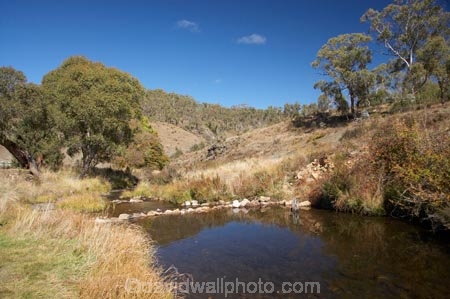 australasia;Australasian;Australia;australian;brook;brooks;creek;creeks;flow;Kosciuszko-N.P.;Kosciuszko-National-Park;Kosciuszko-NP;N.S.W.;New-South-Wales;NSW;river;rivers;s;Snowy-Mountains;Snowy-Mountains-Drive;Snowy-Mountains-Highway;South-New-South-Wales;Southern-New-South-Wales;stream;streams;water;wet;Yarrangobilly-River;Yarrangobilly-Village