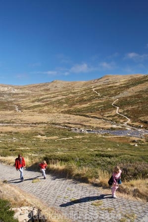 alpine;Australia;brook;brooks;creek;creeks;flow;Great-Dividing-Range;hike;hiker;hikers;hiking;hiking-track;hiking-tracks;Kosciuszko-N.P.;Kosciuszko-National-Park;Kosciuszko-NP;Main-Range-Track;mountains;N.S.W.;New-South-Wales;NSW;people;person;Snowy-Mountains;Snowy-River;South-New-South-Wales;Southern-New-South-Wales;stream;streams;track;tracks;tramp;tramper;trampers;tramping;trek;treker;trekers;treking;trekker;trekkers;trekking;valley;valleys;walk;walker;walkers;walking;walking-track;walking-tracks;water;wet
