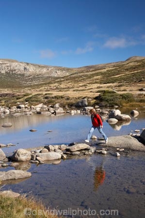 alpine;Australia;boulder;boulders;brook;brooks;calm;creek;creeks;crossing;flow;Great-Dividing-Range;hike;hiker;hikers;hiking;Kosciuszko-N.P.;Kosciuszko-National-Park;Kosciuszko-NP;Main-Range-Track;mountain-stream;mountain-streams;mountains;N.S.W.;New-South-Wales;NSW;people;person;placid;quiet;reflection;reflections;rock;rocks;rocky;serene;smooth;Snowy-Mountains;Snowy-River;South-New-South-Wales;Southern-New-South-Wales;stepping-stones;still;stream;streams;tramp;tramper;trampers;tramping;tranquil;trek;treker;trekers;treking;trekker;trekkers;trekking;valley;valleys;walk;walker;walkers;walking;water;wet