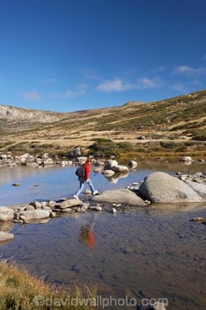 alpine;Australia;boulder;boulders;brook;brooks;calm;creek;creeks;crossing;flow;Great-Dividing-Range;hike;hiker;hikers;hiking;Kosciuszko-N.P.;Kosciuszko-National-Park;Kosciuszko-NP;Main-Range-Track;mountain-stream;mountain-streams;mountains;N.S.W.;New-South-Wales;NSW;people;person;placid;quiet;reflection;reflections;rock;rocks;rocky;serene;smooth;Snowy-Mountains;Snowy-River;South-New-South-Wales;Southern-New-South-Wales;stepping-stones;still;stream;streams;tramp;tramper;trampers;tramping;tranquil;trek;treker;trekers;treking;trekker;trekkers;trekking;valley;valleys;walk;walker;walkers;walking;water;wet