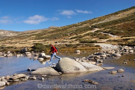 alpine;Australia;boulder;boulders;brook;brooks;creek;creeks;crossing;flow;Great-Dividing-Range;hike;hiker;hikers;hiking;Kosciuszko-N.P.;Kosciuszko-National-Park;Kosciuszko-NP;Main-Range-Track;mountain-stream;mountain-streams;mountains;N.S.W.;New-South-Wales;NSW;people;person;rock;rocks;rocky;Snowy-Mountains;Snowy-River;South-New-South-Wales;Southern-New-South-Wales;stepping-stones;stream;streams;tramp;tramper;trampers;tramping;trek;treker;trekers;treking;trekker;trekkers;trekking;valley;valleys;walk;walker;walkers;walking;water;wet
