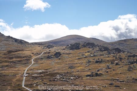 alpine;Australia;hike;hiking;hiking-track;hiking-tracks;Kosciuszko-N.P.;Kosciuszko-National-Park;Kosciuszko-NP;Kosciuszko-Track;Kosciuszko-Walk;Mount-Kosciuszko;mountains;Mt-Kosciuszko;Mt.-Kosciuszko;N.S.W.;New-South-Wales;NSW;Rams-Head-Range;Snowy-Mountains;Snowy-Mountains-Drive;South-New-South-Wales;Southern-New-South-Wales;track;tracks;tramping;trek;treking;trekking;walk;walking;walking-track;walking-tracks