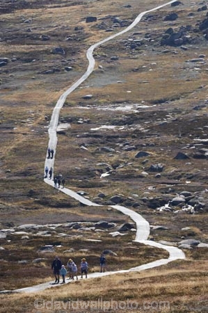 alpine;Australia;hike;hiking;hiking-track;hiking-tracks;Kosciuszko-N.P.;Kosciuszko-National-Park;Kosciuszko-NP;Kosciuszko-Track;Kosciuszko-Walk;Mount-Kosciuszko;mountains;Mt-Kosciuszko;Mt.-Kosciuszko;N.S.W.;New-South-Wales;NSW;Rams-Head-Range;Snowy-Mountains;Snowy-Mountains-Drive;South-New-South-Wales;Southern-New-South-Wales;track;tracks;tramping;trek;treking;trekking;walk;walking;walking-track;walking-tracks