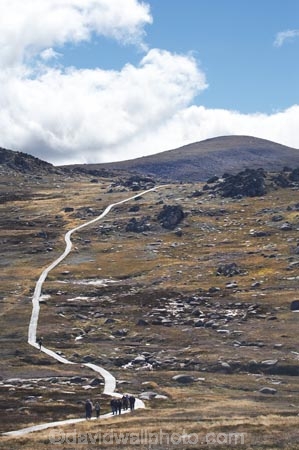 alpine;Australia;hike;hiking;hiking-track;hiking-tracks;Kosciuszko-N.P.;Kosciuszko-National-Park;Kosciuszko-NP;Kosciuszko-Track;Kosciuszko-Walk;Mount-Kosciuszko;mountains;Mt-Kosciuszko;Mt.-Kosciuszko;N.S.W.;New-South-Wales;NSW;Rams-Head-Range;Snowy-Mountains;Snowy-Mountains-Drive;South-New-South-Wales;Southern-New-South-Wales;track;tracks;tramping;trek;treking;trekking;walk;walking;walking-track;walking-tracks